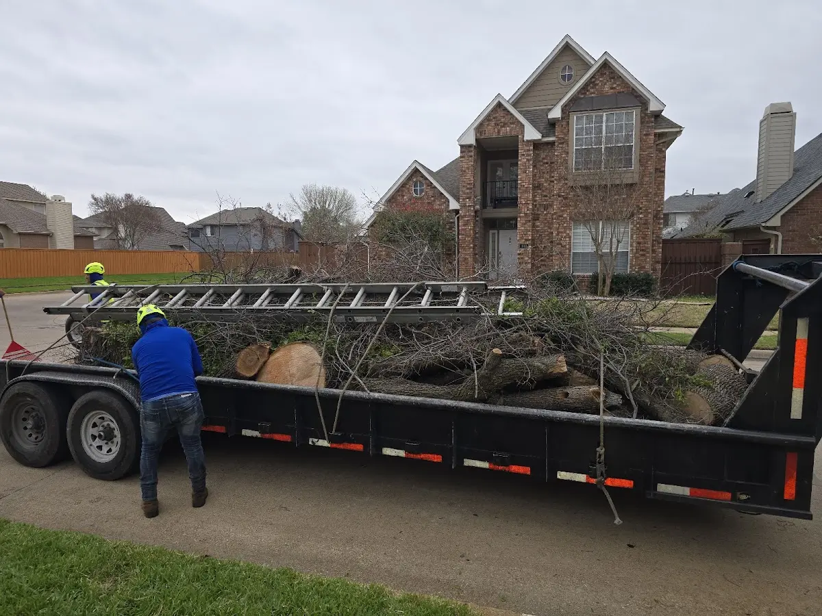 Expert Tree Fertilization with proper safety equipment in North Stratford
